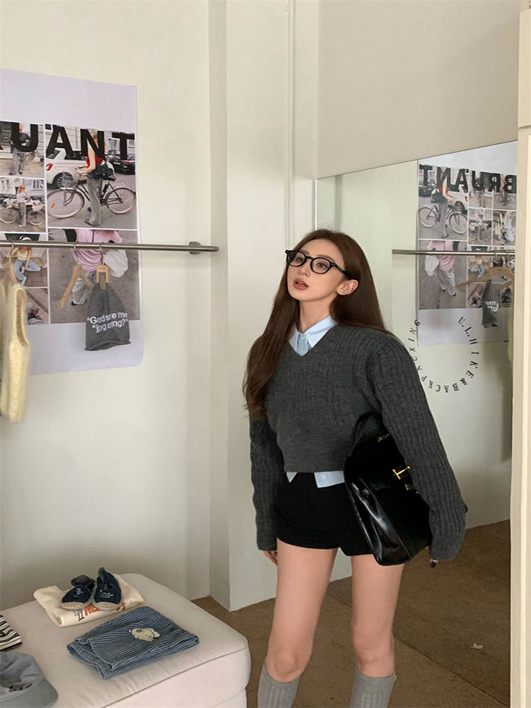 Basic Grey Cropped Sweater Wom - Vintage Fashion Style Female 评论和价格
